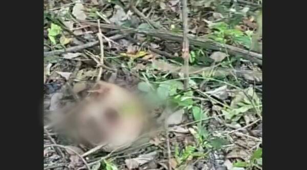 ¿Murió quemado? Encuentran restos óseos de una persona en Ypacaraí