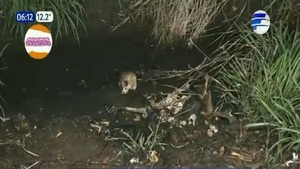 Hallan cuerpo calcinado en Ypacaraí - Noticias Paraguay