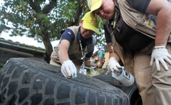 Dengue: Reportan aumento de notificaciones en once regiones del país