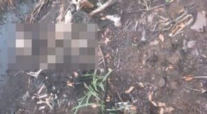 Hallan cráneo y prendas quemadas en Itauguá, serían de una mujer