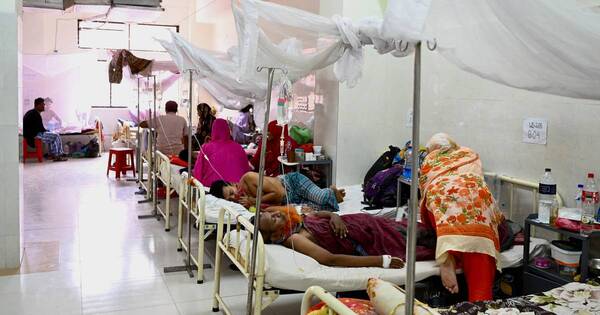 La Nación / Clínicas pone en marcha plan de acción para prevención y atención en casos de dengue