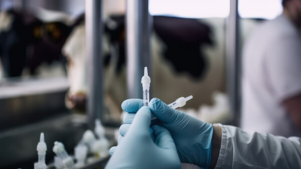 Diario HOY | Brasil está desarrollando la primera vacuna contra la adicción a la cocaína