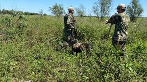 Canes se suman a búsqueda de segundo militar desaparecido en Lambaré
