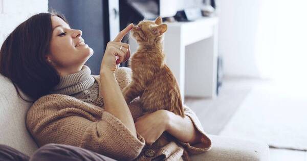La Nación / ¿Tu gato es feliz? Estas son las pistas para descubrir qué sienten los felinos