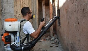 Dengue: Reportan aumento de notificaciones en once regiones del país