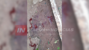 JOVEN FUE APUÑALADO EN TOMÁS ROMERO PEREIRA - Itapúa Noticias