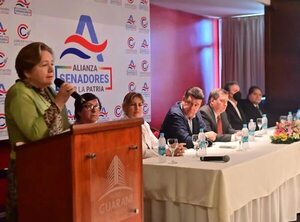 “Senadores por la Patria” declara millonario gasto en publicidad y rendición de subsidio tiene irregularidades - Política - ABC Color