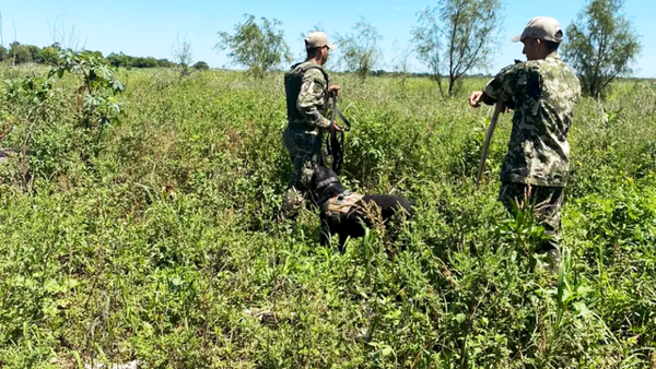 Búsqueda de militar desaparecido sigue también por tierra con canes