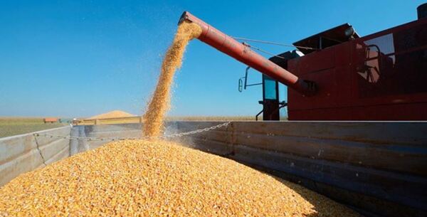 A septiembre se exportó de 1.984.701 toneladas de maíz
