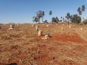 Indert busca reducir tasas de interés para facilitar titulación de tierras · Radio Monumental 1080 AM