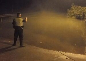 Vehículo cayó al río Paraná y las ocupantes fueron rescatadas por vecinos - ABC en el Este - ABC Color