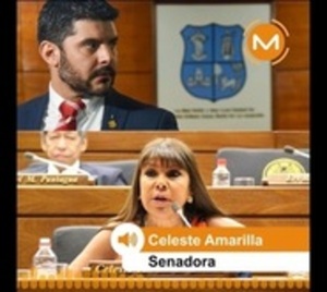 Celeste Amarilla querella a Nenecho por calumnia e injuria - Paraguay.com