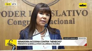 Video: Celeste Amarilla querella a Nenecho Rodríguez - ABC Noticias - ABC Color