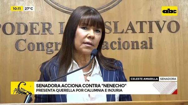 Video: Celeste Amarilla querella a Nenecho Rodríguez - ABC Noticias - ABC Color