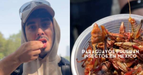 La Nación / Viral: influencers paraguayos degustaron insectos en México