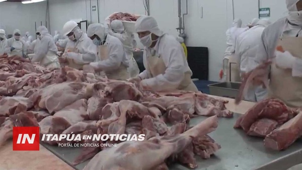 EXPORTACION DE CARNE DE CERDO SE INCREMENTÓ EN UN 500% - Itapúa Noticias