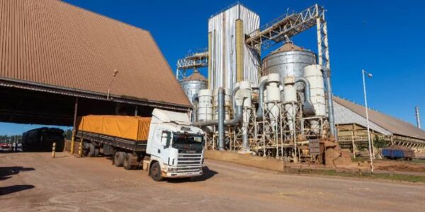 LA CAPPRO PREVÉN CERRAR EL AÑO CON UN NIVEL DE PROCESAMIENTO SIMILAR AL DEL 2021 - Itapúa Noticias