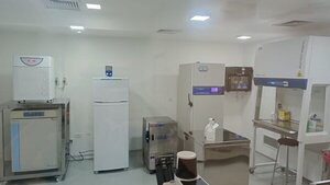Células madre:Salud Pública interviene Sanatorio de CDE