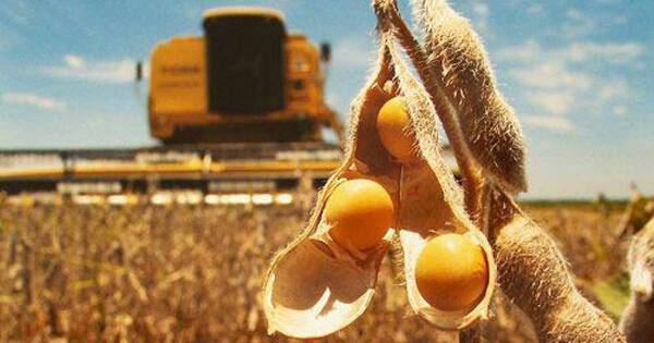 La Nación / Destacan expansión de fronteras productivas tradicionales gracias al desarrollo agrícola