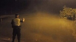 Joven hunde coche de su padre en el río Paraná