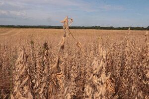 Paraguay solicita recursos del FMI para reformas en adaptación al cambio climático y resiliencia