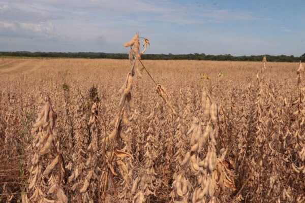 Paraguay solicita recursos del FMI para reformas en adaptación al cambio climático y resiliencia