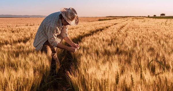 La Nación / El riesgo a la actividad económica local sigue siendo el factor climático