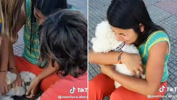 Familia de viajeros argentinos se reencontró con su perro “Tito”