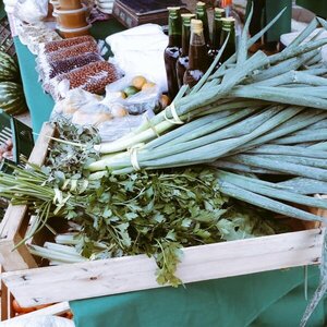 Feria agropecuaria se realiza hoy en San Lorenzo - ADN Digital