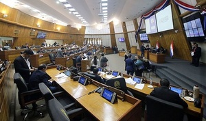 Anuncian estudio en particular de Ley sobre tenencia de perros peligrosos