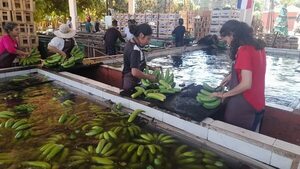 Bananeros se manifestarán esta mañana frente a la Embajada de Argentina - Nacionales - ABC Color