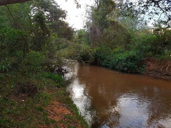 Cap. Bado: Arroyo se cobra la vida de un joven brasilero - Oasis FM 94.3