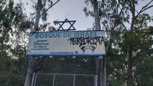 Latinoamérica: preocupa aumento de antisemitismo tras guerra Israel-Hamás - Política - ABC Color