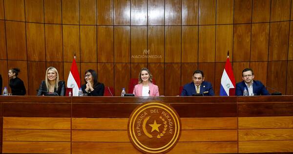 La Nación / Destacan a Paraguay como pilar de defensa de la vida y la familia, en conversatorio