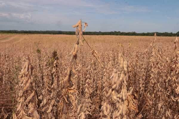 Paraguay pide al FMI unos 400 millones de d贸lares para mitigar la crisis clim谩tica - Revista PLUS