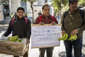“Argentina, paguen la banana que ya comieron”, reclaman productores de Bolivia - Mundo - ABC Color