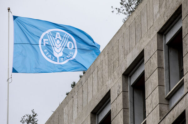 FAO: Los sistemas agroalimentarios de Latinoam茅rica generan costos ocultos de 1.200 millones de d贸lares - Revista PLUS