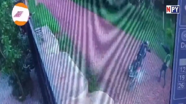 A balazos asaltaron a un hombre en Capiatá - Noticias Paraguay