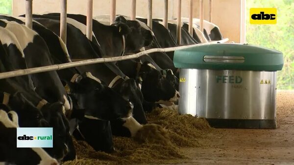 Video: robot arrimador de comida para mayor consumo de alimentos en tambo - ABC Rural - ABC Color