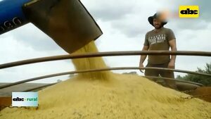 Video: simposio de Agricultura en Santa Rita  - ABC Rural - ABC Color