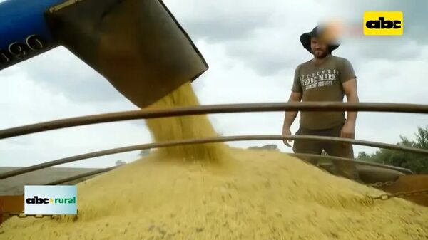 Video: simposio de Agricultura en Santa Rita - ABC Rural - ABC Color