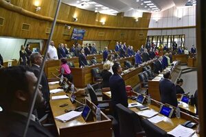 Diputados define hoy otorgarse o no impunidad ante conflicto de intereses - Política - ABC Color