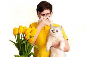 Alergias pediátricas: la conexión intestinal - Estilo de vida - ABC Color