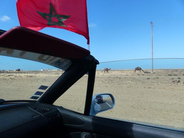 Dakhla, entre las aguas del Atlántico y las arenas del Sahara - La Tribuna