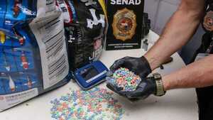 Trajeron 13.000 pastillas de drogas entre alimentos para peces