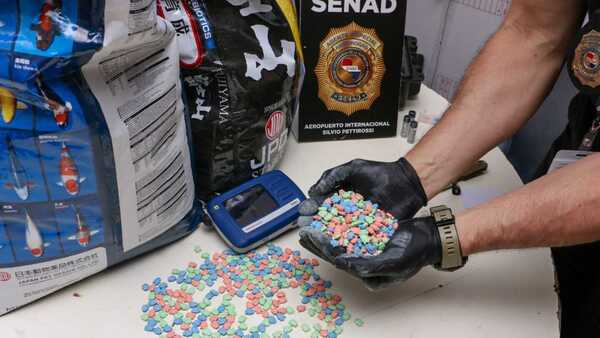 Trajeron 13.000 pastillas de drogas entre alimentos para peces