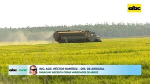 Video: Paraguay necesita crear variedades de arroz - ABC Rural - ABC Color