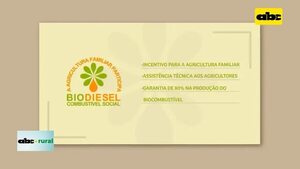 Video: Brasil podría aumentar mezcla de biodiesel  - ABC Rural - ABC Color