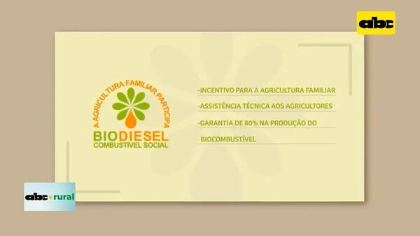 Video: Brasil podría aumentar mezcla de biodiesel - ABC Rural - ABC Color