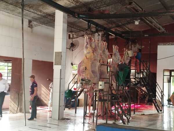 INCORPORAN MEJORAS EN MATADERO MUNICIPAL DE VILLARRICA